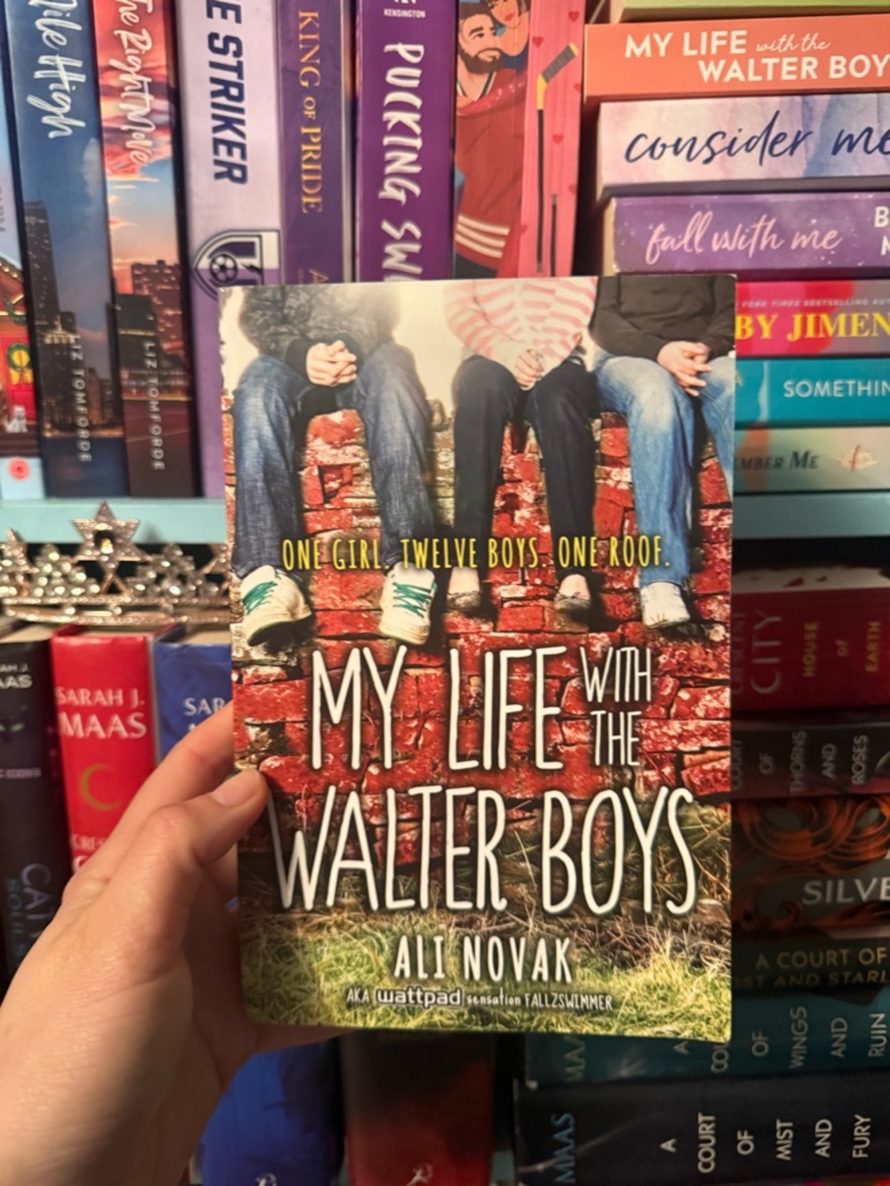 My Life with the Walter Boys | Softcover